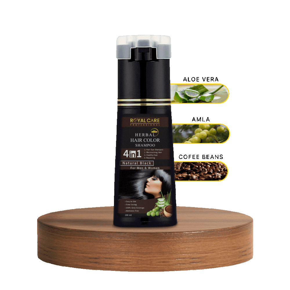 4 IN 1 Hair Coloring Shampoo – Natural Black